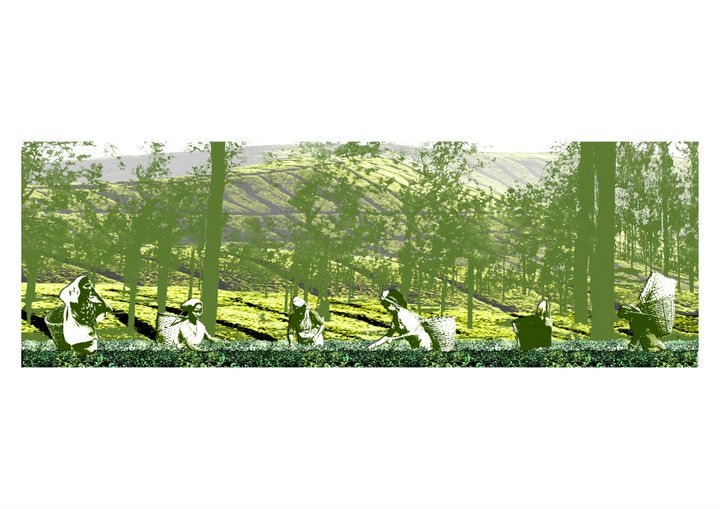 graphic, digital collage, tea garden